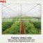Low Cost greenhouse for agriculture prices