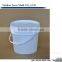 professional plastic paint bucket mould manufacturer in Mould town of china