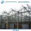 Venlo Glass span Greenhouse for Hydroponic Growing System