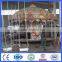 Outdoor carnival games for adults 24 seats carousel