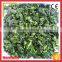 Supply Frozen Fresh Chopped Leaf Spinach With Halal