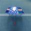 Cute Design Clear Plastic Kid Helmet Hat