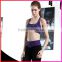 High Quality Women Seamless Workout Gym Fitness Yoga Sports bra with Pad                        
                                                Quality Choice