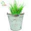 Galvanised Metal Watering Can Herb Flower metal grow box