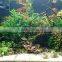 Freshwater fish live led aquarium light red and green cool white 24inch 90w planted freshwater