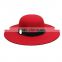 New launched fantastic wide brim hat ,party hat