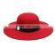 fascinating cheap wide brim hat/New Fashion hat