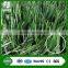 Wuxi top quality hot selling thiolonpe tencate artificial grass wall for futsal football golf