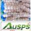 Wholesale natural fresh white garlic with nice service