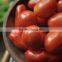 Vietnam Pickled big tomatoes in glass jar 720ml by HAGIMEX