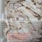 IQF Dried Salted pollock fillet for sale/ Dry salted pollock fillet