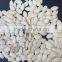 Inner Mongolia Shine Skin Pumpkin Seeds in Shell
