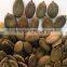grown without shell pumpkin seeds Grade AA