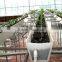 Hydroponic gutter