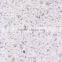 large quantity colorful kota stone flooring