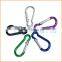 Fashion High Quality snap hook carabiner with screw lock