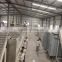 China industrial pasta production line macaroni spaghetti machine pasta processing machinery