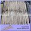Frozen Fish Seafood Bonito Loin