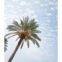 Palm tree tower