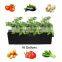 Strawberry Potato Felt Black Grow Bags