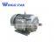 electric motor double shaft