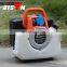 BISON(CHINA) 1KW 110V Gasoline Inverter Generator