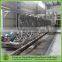 Turnkey project full automatic wheat starch line