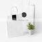 Wholesale Small Sample Custom White Elegant Gift Packaging Paper Bag Small Size