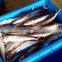 fish debone and meat bone separator machine