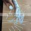 diagnostic IVD testing kits 11 parameters urine calcium micro albumin test strip