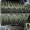High Tenacity PP multifilament Yarn For X'mas Tree Branch