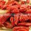 EU hot sell dried goji berries