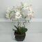 Indoor decor artificial latex flowers orchids with wholesale price