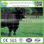 ( china supplier)Australian Standards Stainless Steel Hot Dipped Galvanized Hinge Joint cattle field fence manufacture