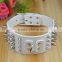 Large Spiked Dog Collar For Hunting Dogs