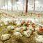 High Quality Automatic Broiler Poultry Farm House Equipment
