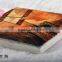 Eco solvent aluminum digital inkjet printer,flatbed printer to phone cover caase