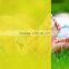 Decorative PET Light Color Protective Plastic Yellow Transparent Film