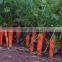 NEW CARROTS HAVEST IN VIETNAM 2016/BEST PRICE FOR SALE