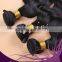 Brazilian Human Remy Hair Extensions Unprocessed weft Body Wave weave