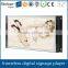 FlintStone 32 inch usb advertising player, lcd advertising screen, open frame advertising player