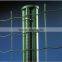 Manufacture supply holland wire mesh/chicken fence/fence mesh