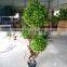 Garden Landscaping Natural Look Artificial Decorative Bonsai Tree Small Size Tree With Favorable Price