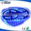 CE ROHS UL 60pcs 120pcs led strip lights 12v 24v 6v led strip 5050                        
                                                Quality Choice
