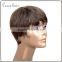New arrival 100% real Brazilian silver gray human hair full lace wig short grey hair wig for mom and fashion lady