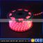 24leds/m pink color outdoor use festival led rope light