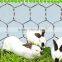 Anping Factory chicken coop galvanized hexagonal wire mesh