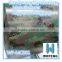 prepainted camouflage color coating ppgi steel coil for army wall sheets