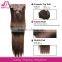Double Drawn Indian Clip in Hair Extension