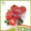 wholesale double concentrated canned tin gino 28-30% tomato paste pasta factory supplier exporter
